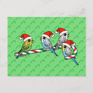 Cartes Pour Fêtes Annuelles Perruches de Père Noël de sucre de canne