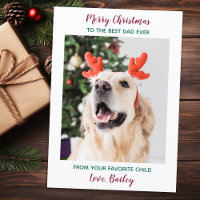 Personnalisé Joyeux Noël Chien Papa Animal de comp