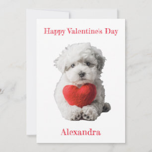 Cartes Pour Fêtes Annuelles Personnaliser Bichon Frise Puppy Valentine
