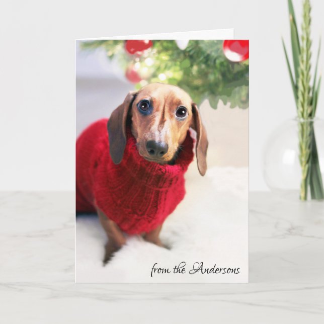 Cartes Pour Fêtes Annuelles Personnaliser de chandail de chien d'arbre de Noël (Devant)