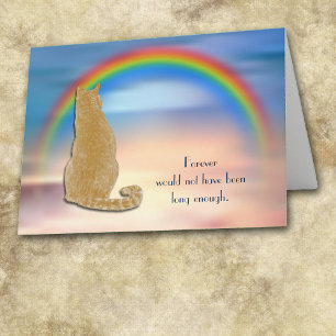 Cartes Pour Fêtes Annuelles Perte de Ginger Cat Rainbow Sympathy Card