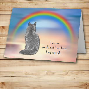 Cartes Pour Fêtes Annuelles Perte de gris chat Rainbow Sympathy Card