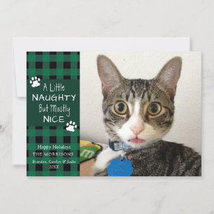 Cartes Pour Fêtes Annuelles Pet Cat Naughty et Nice Vert Black Plaid