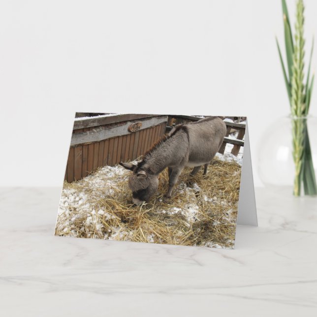 Cartes Pour Fêtes Annuelles Petit âne Noël (Devant)