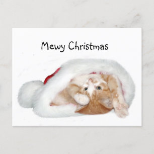 Cartes Pour Fêtes Annuelles Petit chaton de Noël