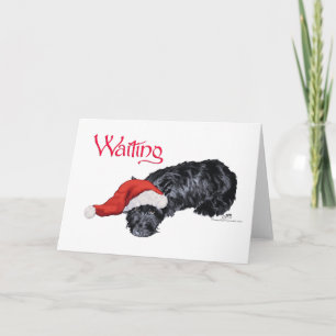 Cartes Pour Fêtes Annuelles Petit Chien écossais en attente de Père Noël