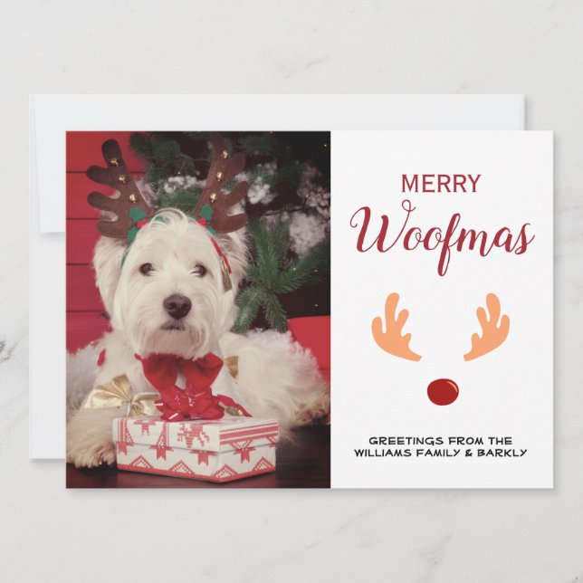 Cartes Pour Fêtes Annuelles Petit chien Joyeux Woofmas Noël Photo (Devant)