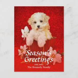 Cartes Pour Fêtes Annuelles Petit chiot doux de Noël se reposant dans le