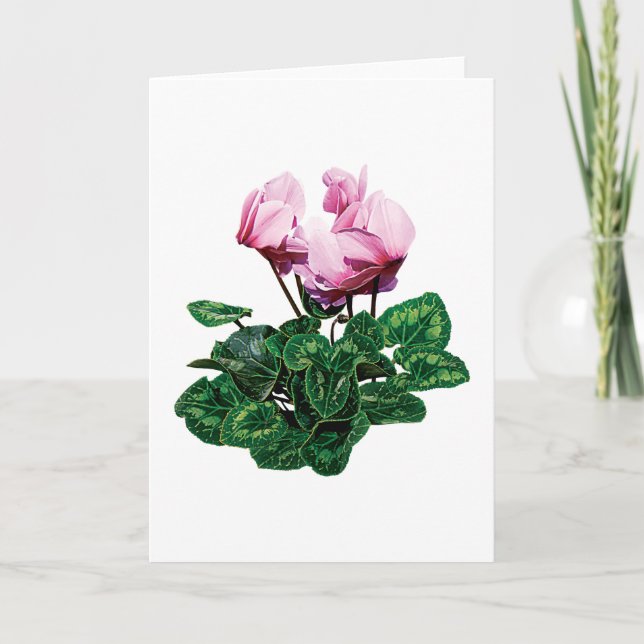 Cartes Pour Fêtes Annuelles Petit cyclamen rose (Devant)