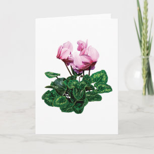 Cartes Pour Fêtes Annuelles Petit cyclamen rose
