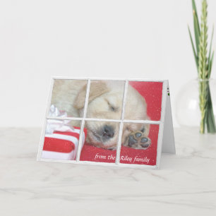 Cartes Pour Fêtes Annuelles Petit louveteur de Noël présent or dans la fenêtre