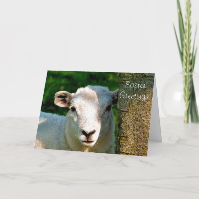 CARTES POUR FÊTES ANNUELLES PETIT MOQUETTE (Devant)