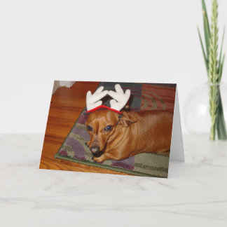 Cartes Pour Fêtes Annuelles Petit renne