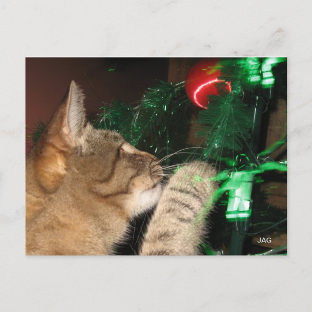 Cartes Pour Fêtes Annuelles Phat Cat et l'arbre de Noël (Devant)