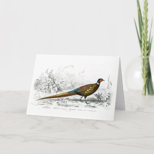 Cartes Pour Fêtes Annuelles Phéasé pour Noël - Art Vintage - (Devant)