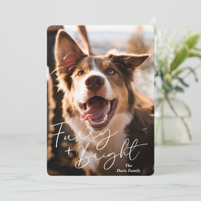 Cartes Pour Fêtes Annuelles Photo Chien mignon Noël moderne (Debout devant)