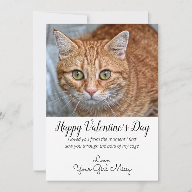Cartes Pour Fêtes Annuelles Photo de chat personnalisée de la Saint-Valentin (Devant)
