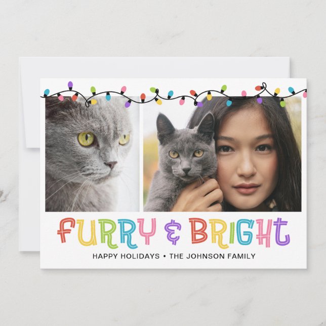 Cartes Pour Fêtes Annuelles Photo de chats brillants et furie (Devant)