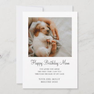 Cartes Pour Fêtes Annuelles Photo de chien Joyeux Anniversaire Maman de Secour