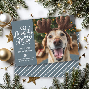 Cartes Pour Fêtes Annuelles Photo de chien ou chat mignon et drôle Naughty or