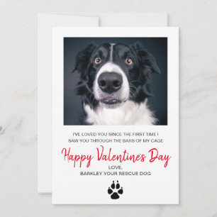 Cartes Pour Fêtes Annuelles Photo de chien Saint-Valentin Du Chien