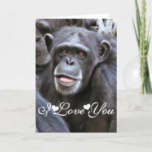 Cartes Pour Fêtes Annuelles Photo de Chimpanzé I Love You