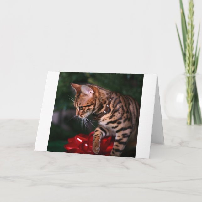 Cartes Pour Fêtes Annuelles Photo de Kitty de Noël (chat domestique du (Devant)