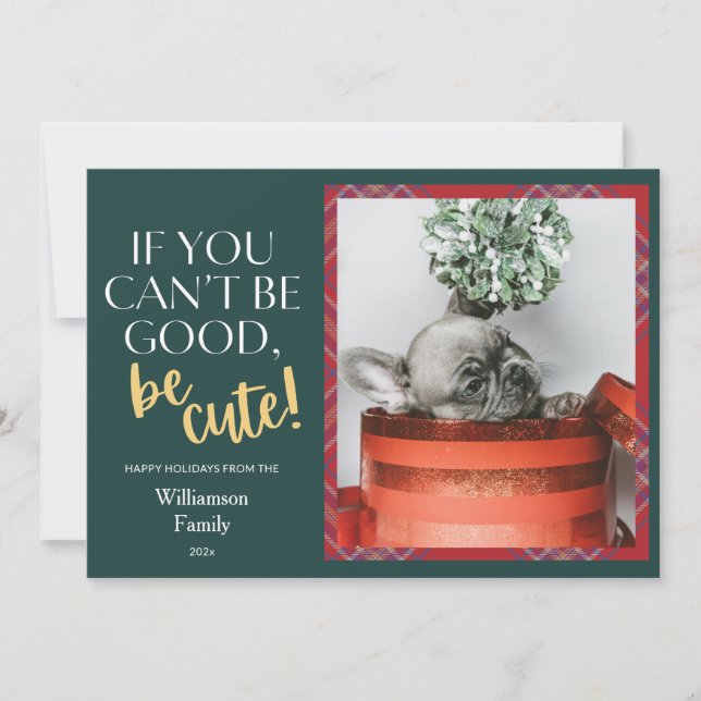 Cartes Pour Fêtes Annuelles Photo de l'animal de compagnie de Noël (Devant)