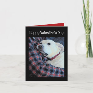 Cartes Pour Fêtes Annuelles Photo de mignon chien accroupissant papa Saint Val