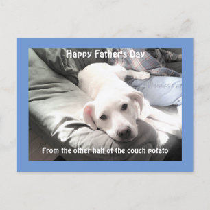 Cartes Pour Fêtes Annuelles Photo de mignon chien blanc fatigué avec meilleur 