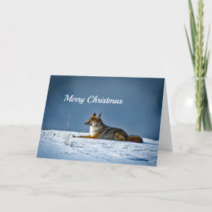 Cartes Pour Fêtes Annuelles Photo de neige Coyote Noël