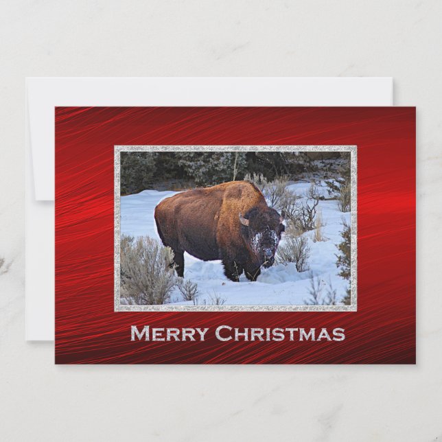 Cartes Pour Fêtes Annuelles Photo de neige de Buffalo Appartement de Noël (Devant)