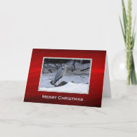 Photo de neige du Grand Héron bleu Noël
