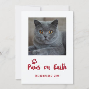 Cartes Pour Fêtes Annuelles Photo de Noël branchée pour animaux de compagnie