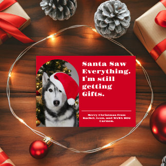 Cartes Pour Fêtes Annuelles Photo de Noël drôle avec animal de compagnie « San