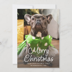 Cartes Pour Fêtes Annuelles Photo de Noël drôle d'animal Famille Joyeux Noël