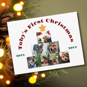 Cartes Pour Fêtes Annuelles Photo de Noël du premier chien de compagnie sous l