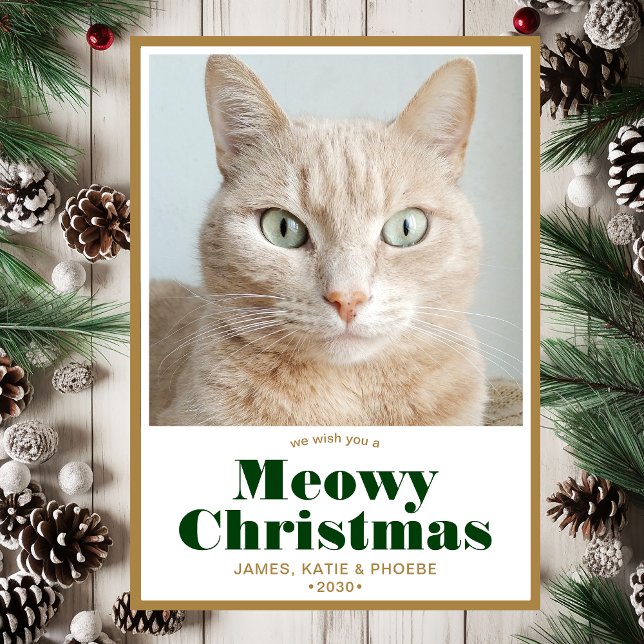 Cartes Pour Fêtes Annuelles Photo de Noël Meowy (Créateur téléchargé)
