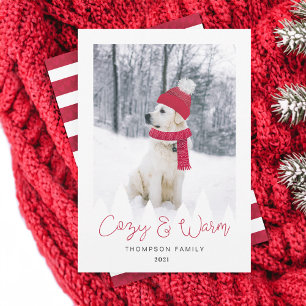 Cartes Pour Fêtes Annuelles Photo d'hiver Casquette & Écharpe pour animaux de