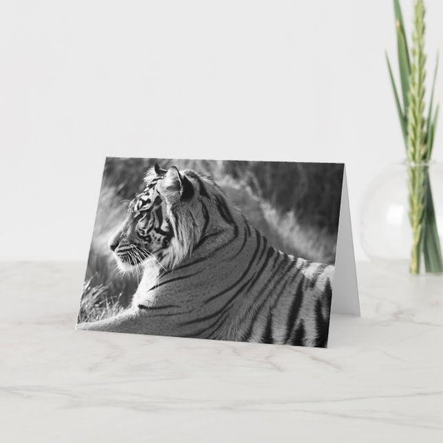 Cartes Pour Fêtes Annuelles Photo du profil du tigre B&W (Devant)