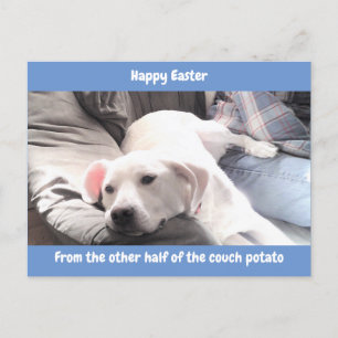 Cartes Pour Fêtes Annuelles Photo d'un chien blanc pâle mignon avec papa bleu