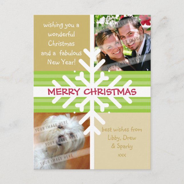 Cartes Pour Fêtes Annuelles PHOTO GREETING POSTCARD :: snowflake dissection P4 (Devant)