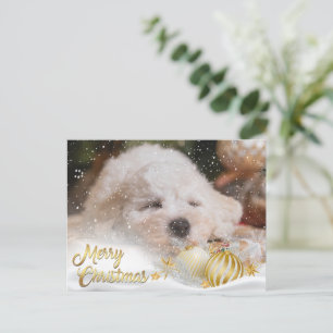 Cartes Pour Fêtes Annuelles Photo Joyeux Noël Neige superposition Budget Or