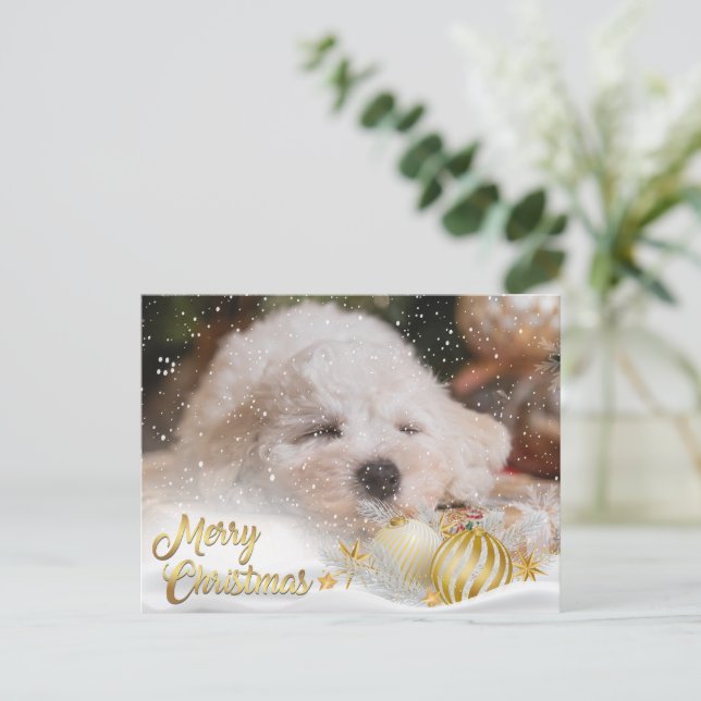 Cartes Pour Fêtes Annuelles Photo Joyeux Noël Neige superposition Budget Or (Debout devant)
