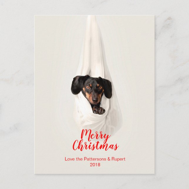 Cartes Pour Fêtes Annuelles Photo mignonne de Noël de chiot de famille (Devant)
