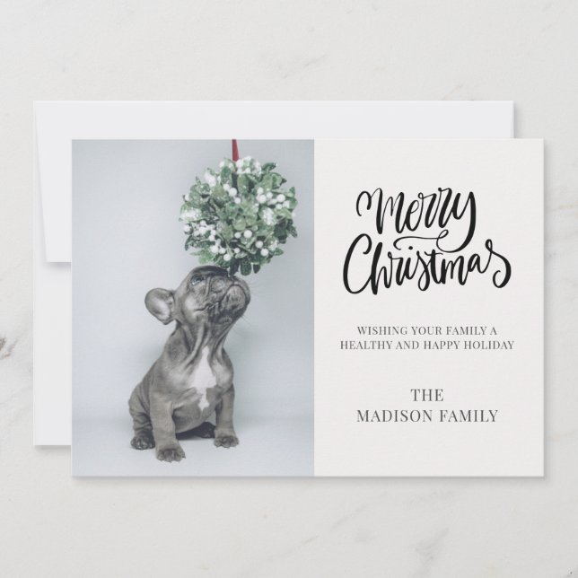 Cartes Pour Fêtes Annuelles Photo mignonne personnalisée Chien Mistletoe Joyeu (Devant)