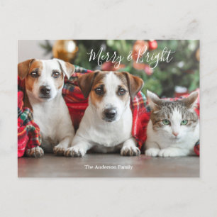Cartes Pour Fêtes Annuelles Photo Noël 