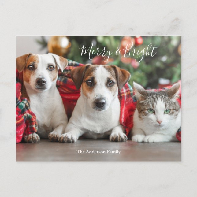 Cartes Pour Fêtes Annuelles Photo Noël (Devant)