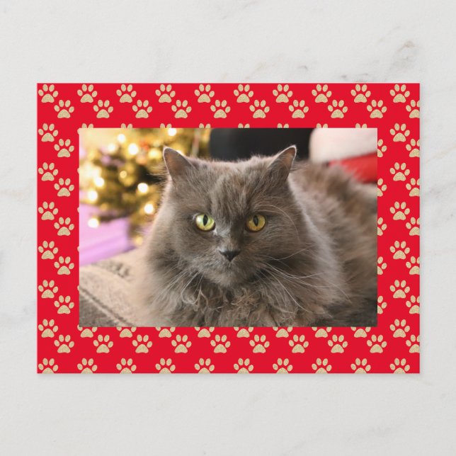Cartes Pour Fêtes Annuelles Photo personnalisée de chat pour animaux de compag (Devant)
