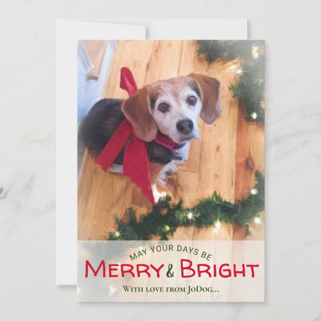 Cartes Pour Fêtes Annuelles Photo Pet & Family Joyeux & Bright Christmas H (Devant)